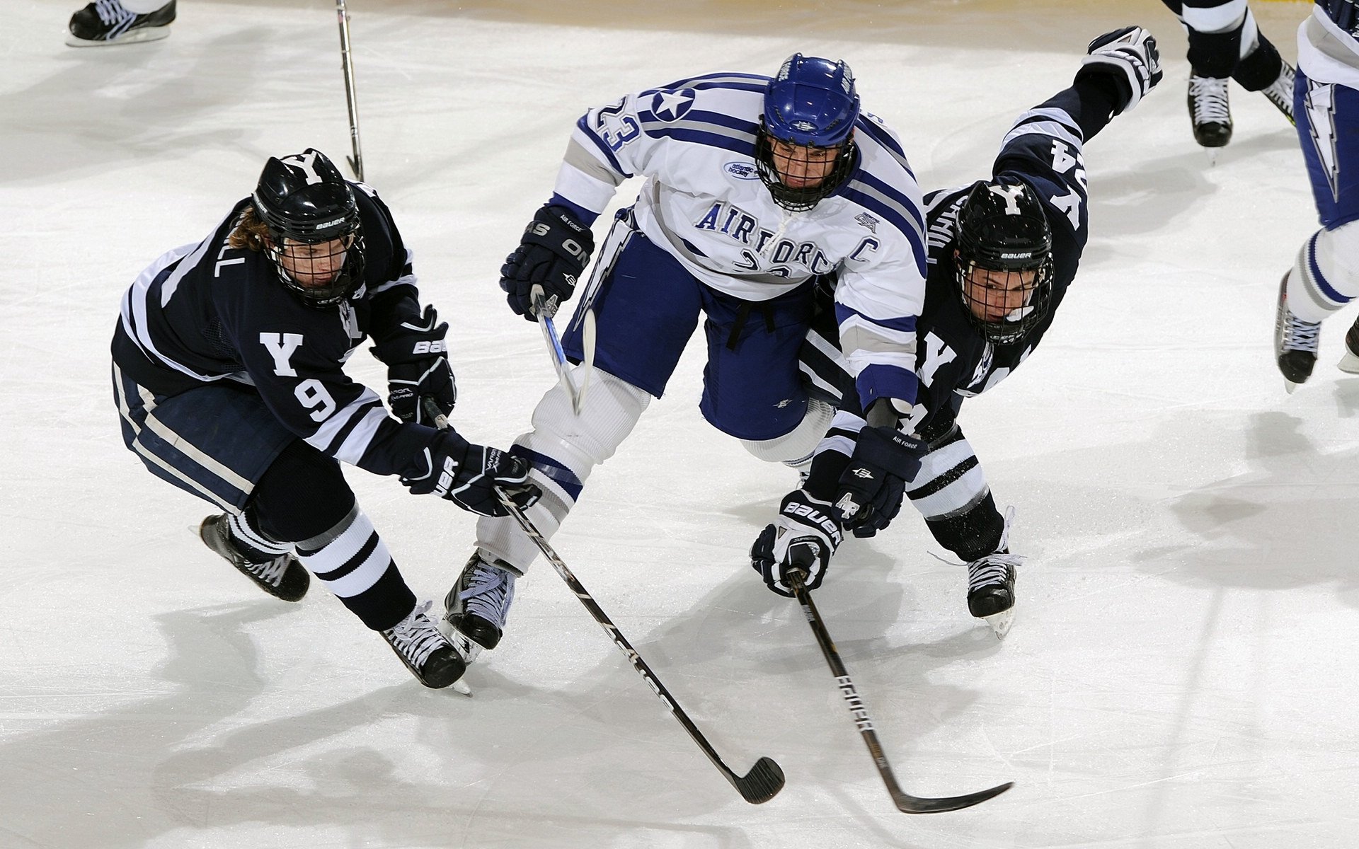 国王全员进行心肺训练准备背靠背比赛